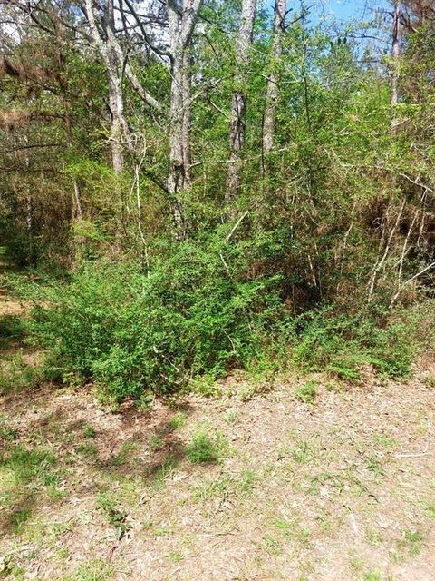 Photo of 0 Hummingbird Lane, Hempstead, TX 77445 (MLS # 38954695) Photo of 0 Hummingbird Lane, Hempstead, TX 77445 (MLS # 38954695)