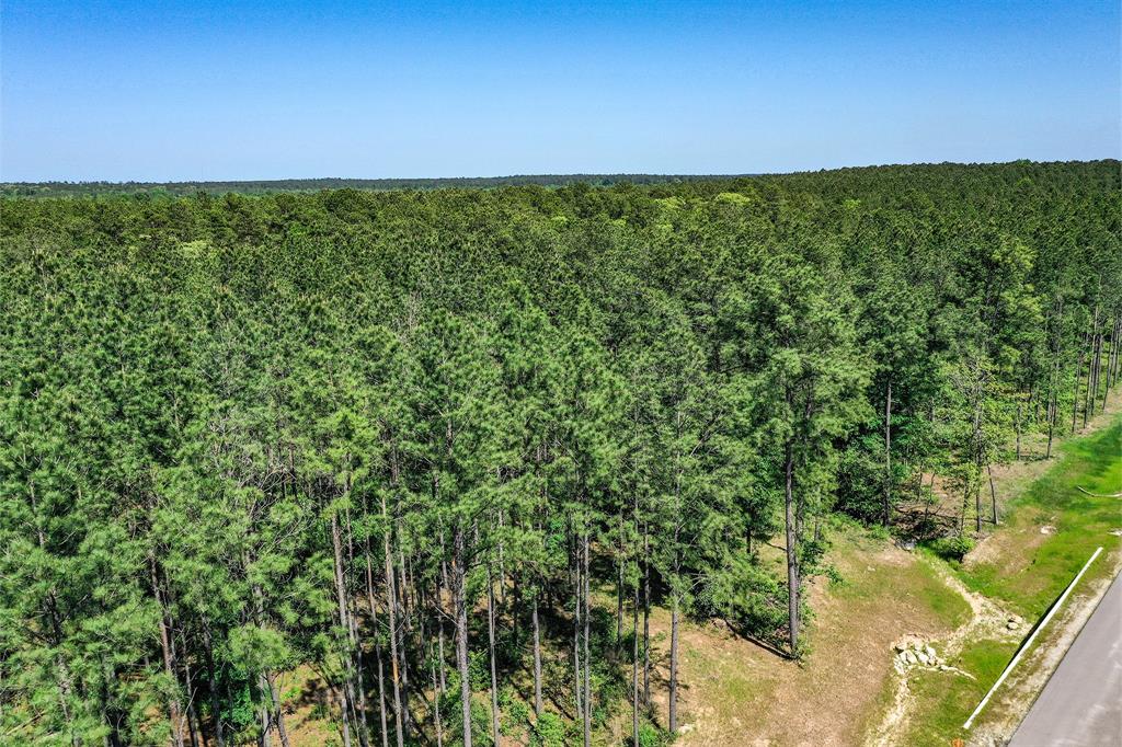 TBD Queen Anne Way, Huntsville, Texas image 14