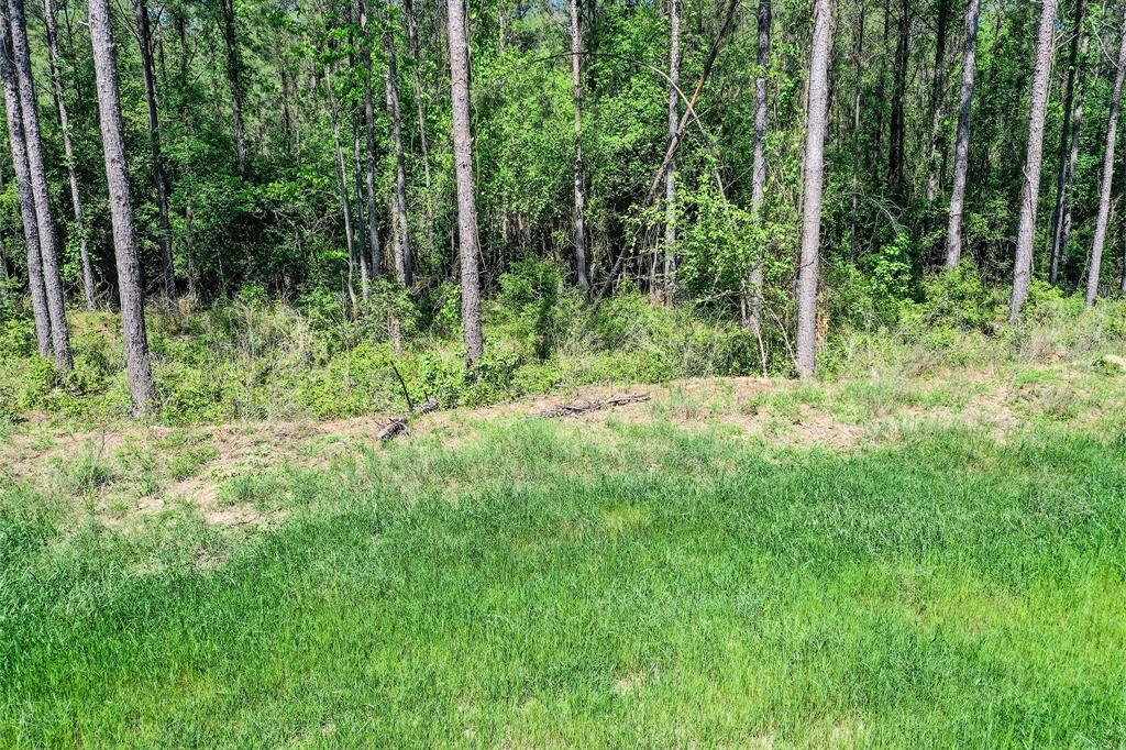 TBD Queen Anne Way, Huntsville, Texas image 16
