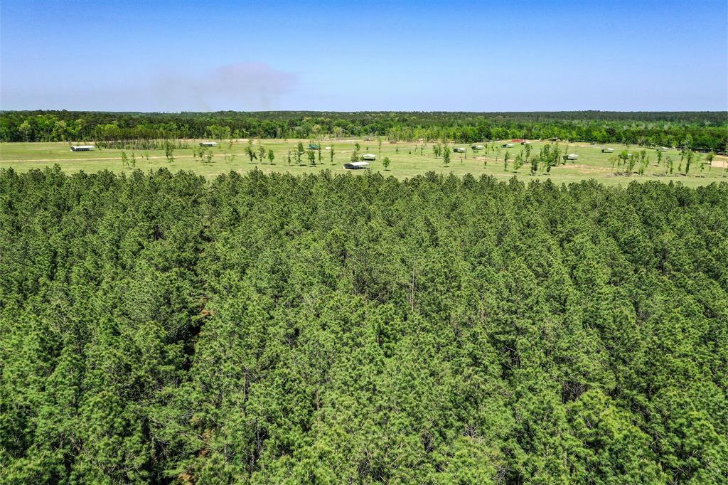 TBD Queen Anne Way, Huntsville, Texas image 13