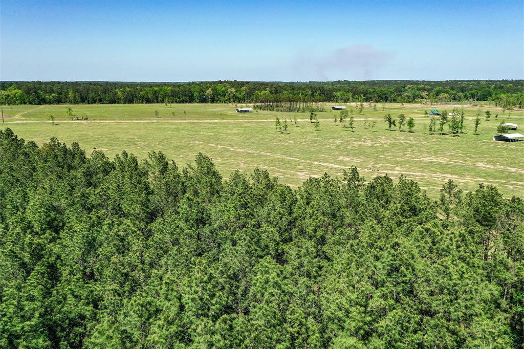 TBD Queen Anne Way, Huntsville, Texas image 8