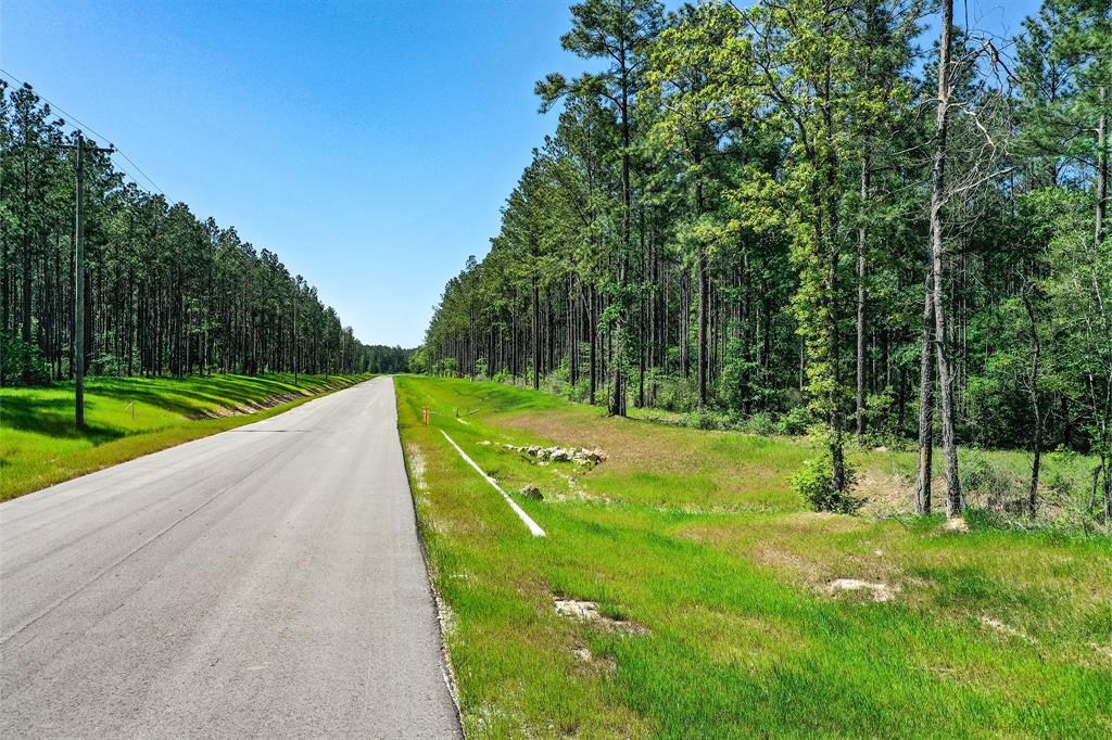 TBD Queen Anne Way, Huntsville, Texas image 17