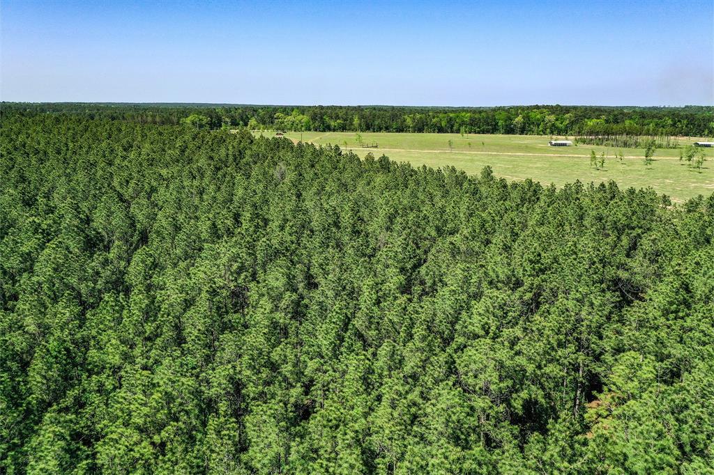 TBD Queen Anne Way, Huntsville, Texas image 7