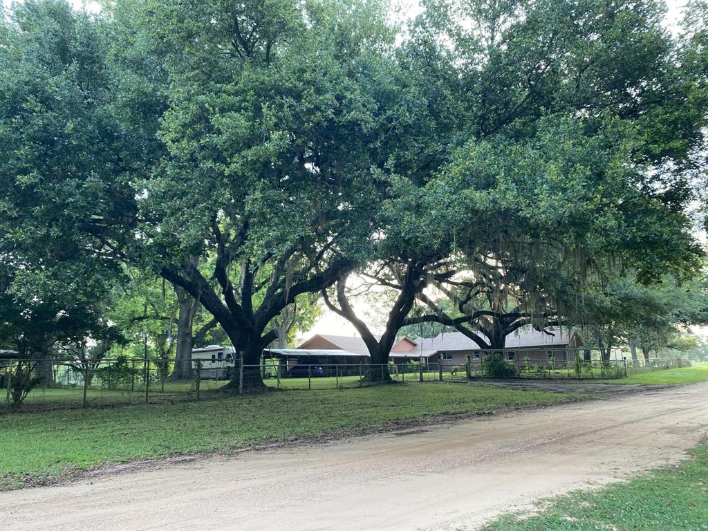 30 W Main Drive, Shepherd, Texas image 9