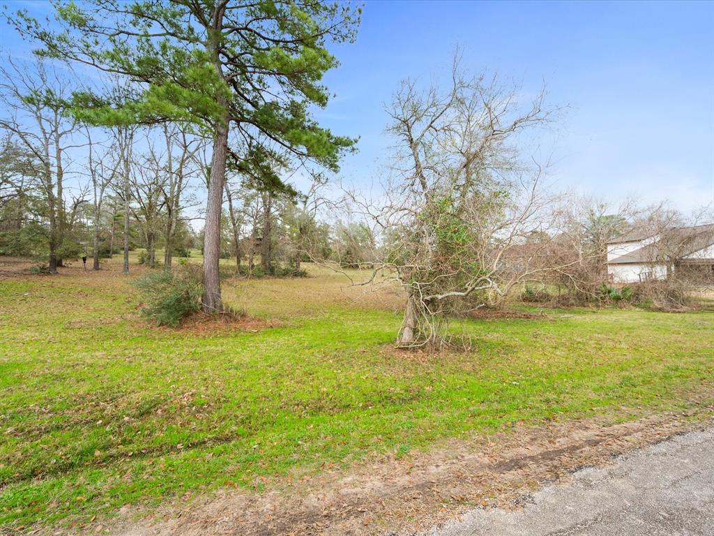 151 Wildwood Lake Drive, Huntsville, Texas image 14