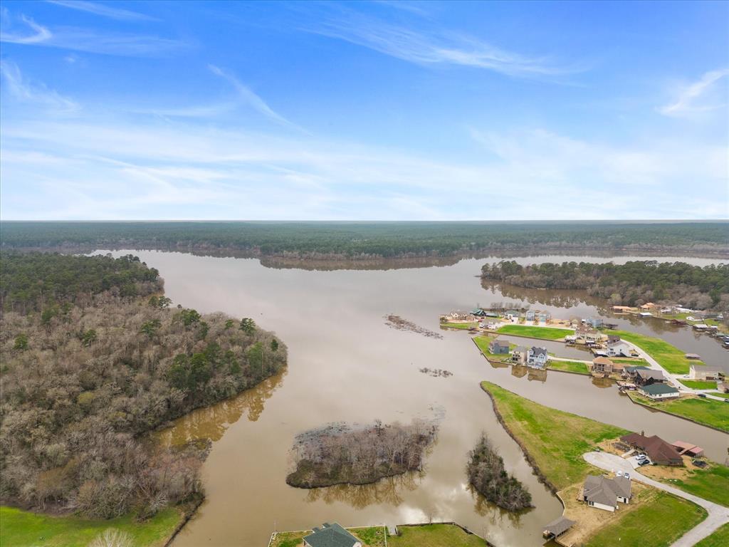151 Wildwood Lake Drive, Huntsville, Texas image 13