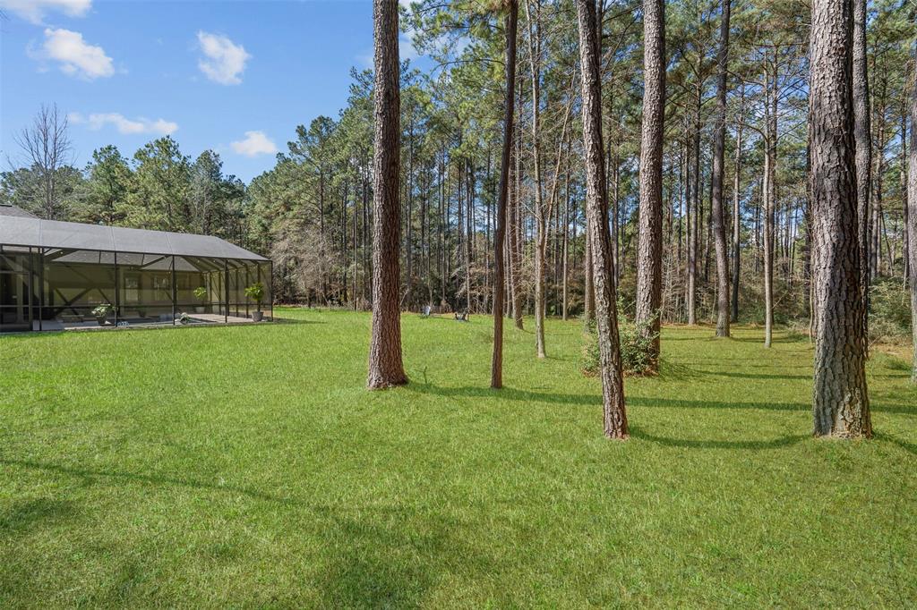 311 Sundog Road, Huntsville, Texas image 42