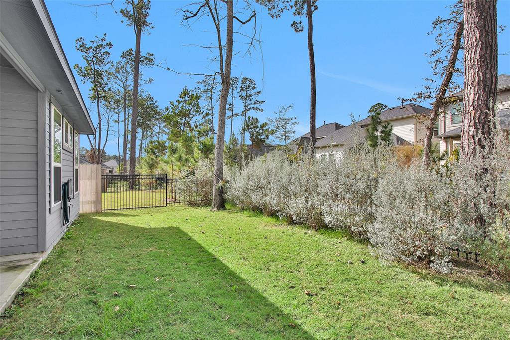 15206 Falco Lane, Magnolia, Texas image 39