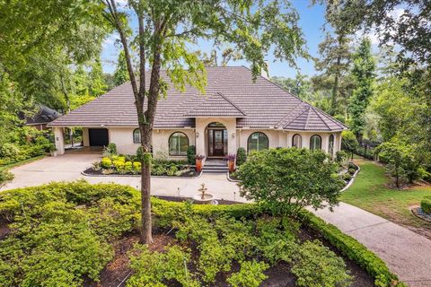 30 Halfmoon Court The Woodlands TX 77380