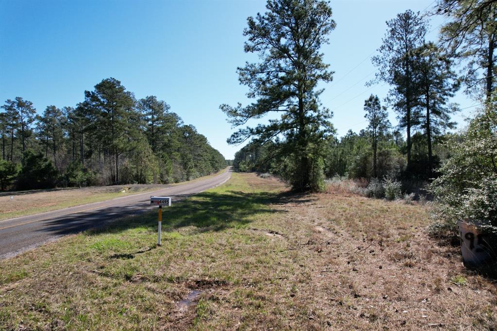 4495 Fm 3065, Colmesneil, Texas image 3