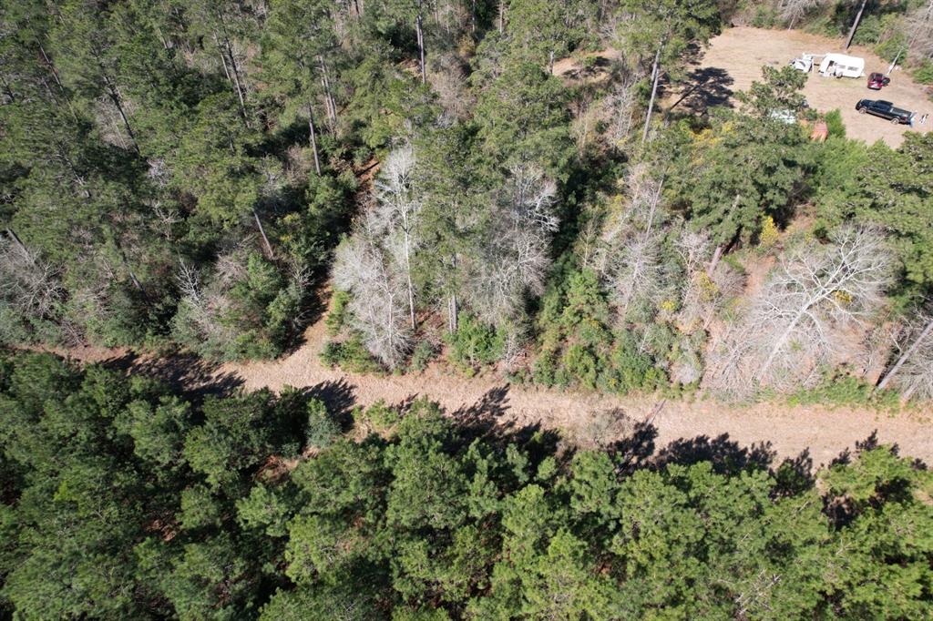 4495 Fm 3065, Colmesneil, Texas image 6