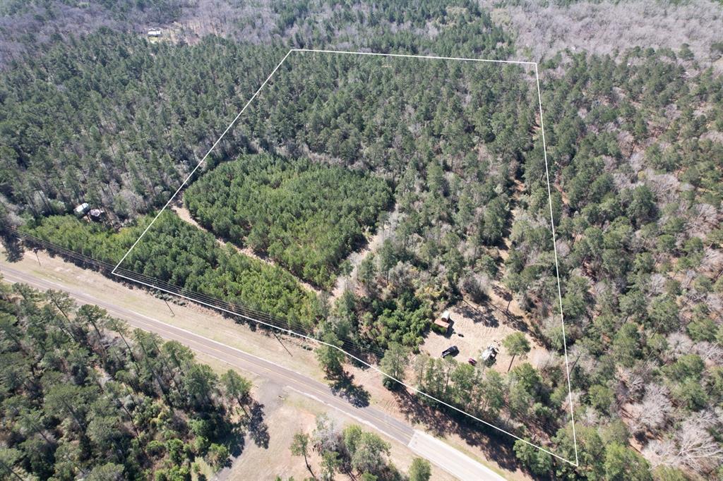 4495 Fm 3065, Colmesneil, Texas image 1