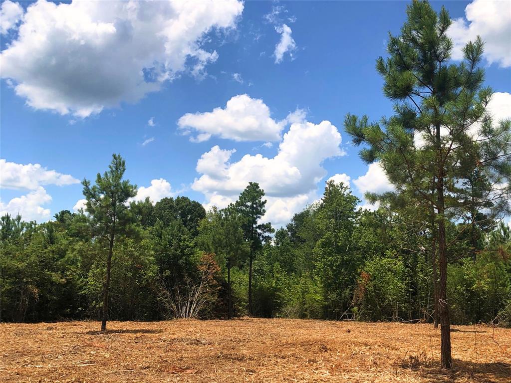 Lot 1 Cr 338, Nacogdoches, Texas image 1