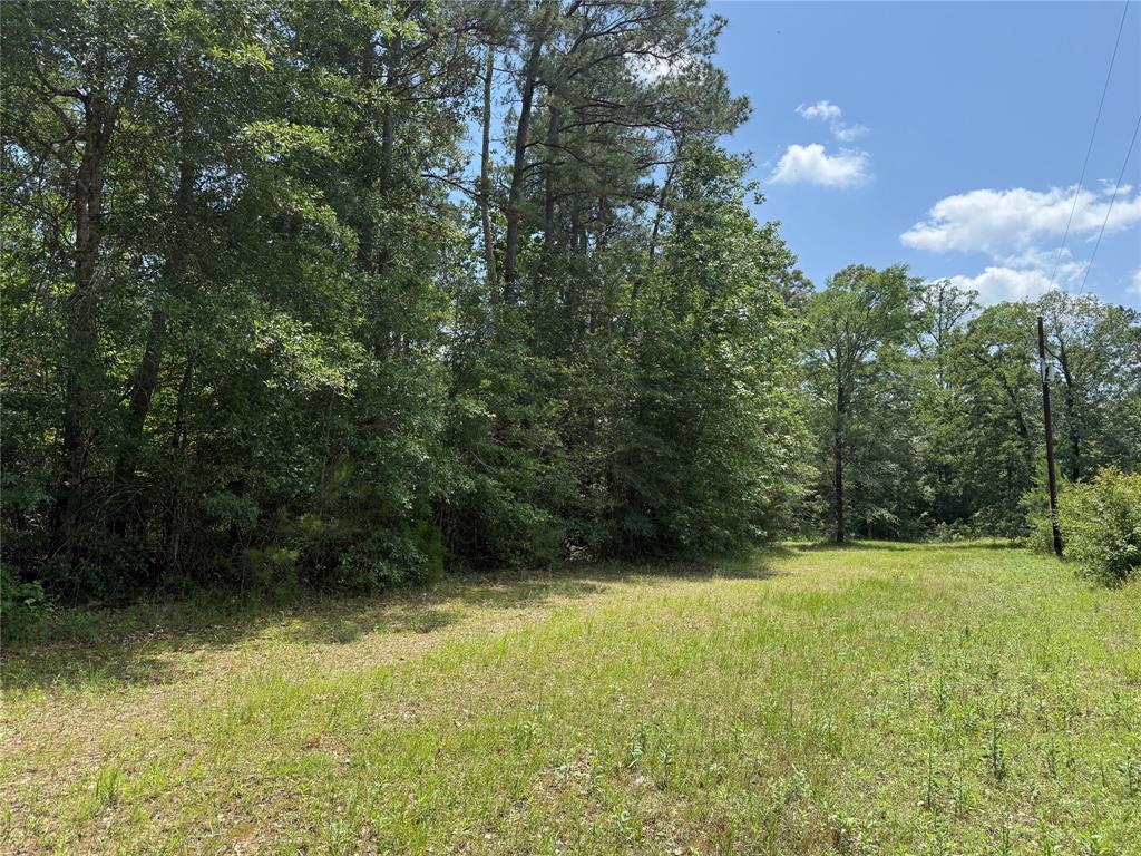 TBD Mimosa Lane, Conroe, Texas image 5