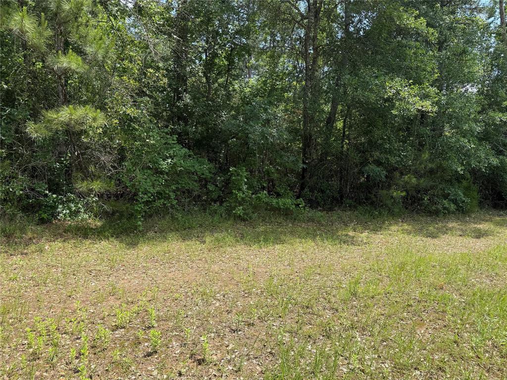 TBD Mimosa Lane, Conroe, Texas image 4