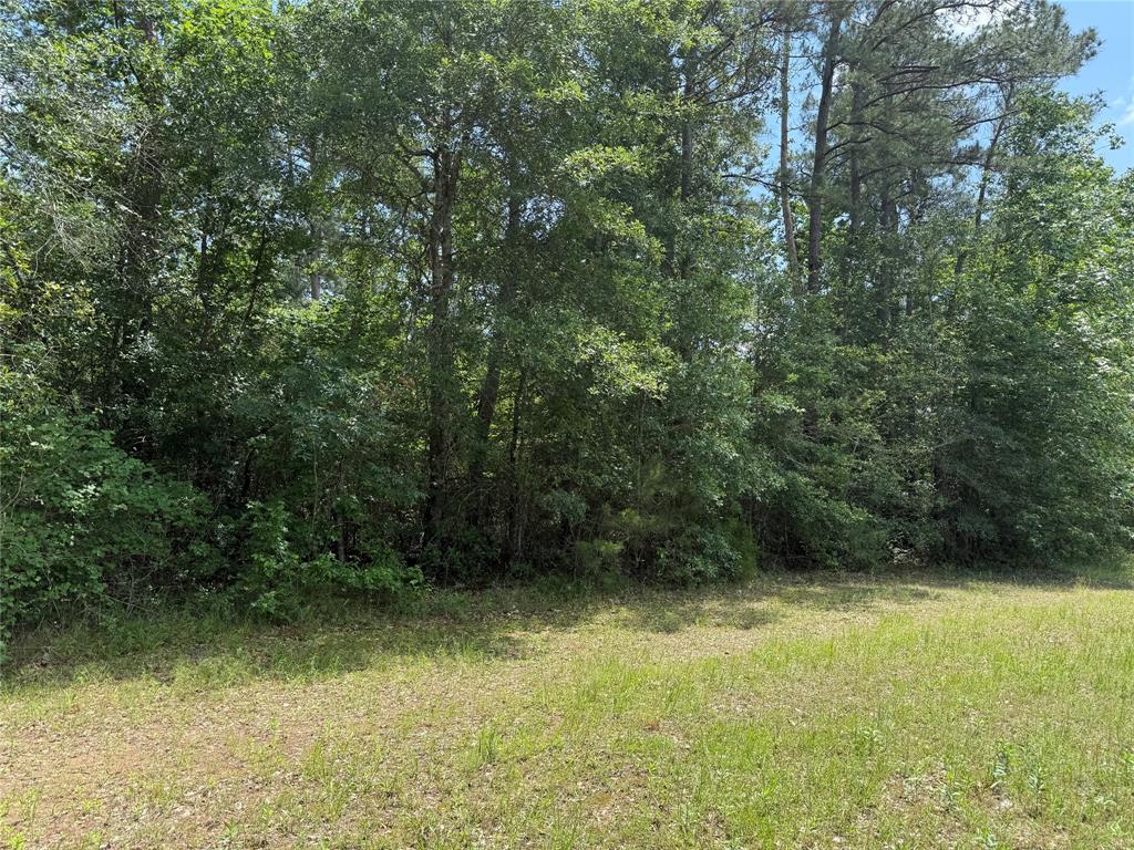 TBD Mimosa Lane, Conroe, Texas image 9