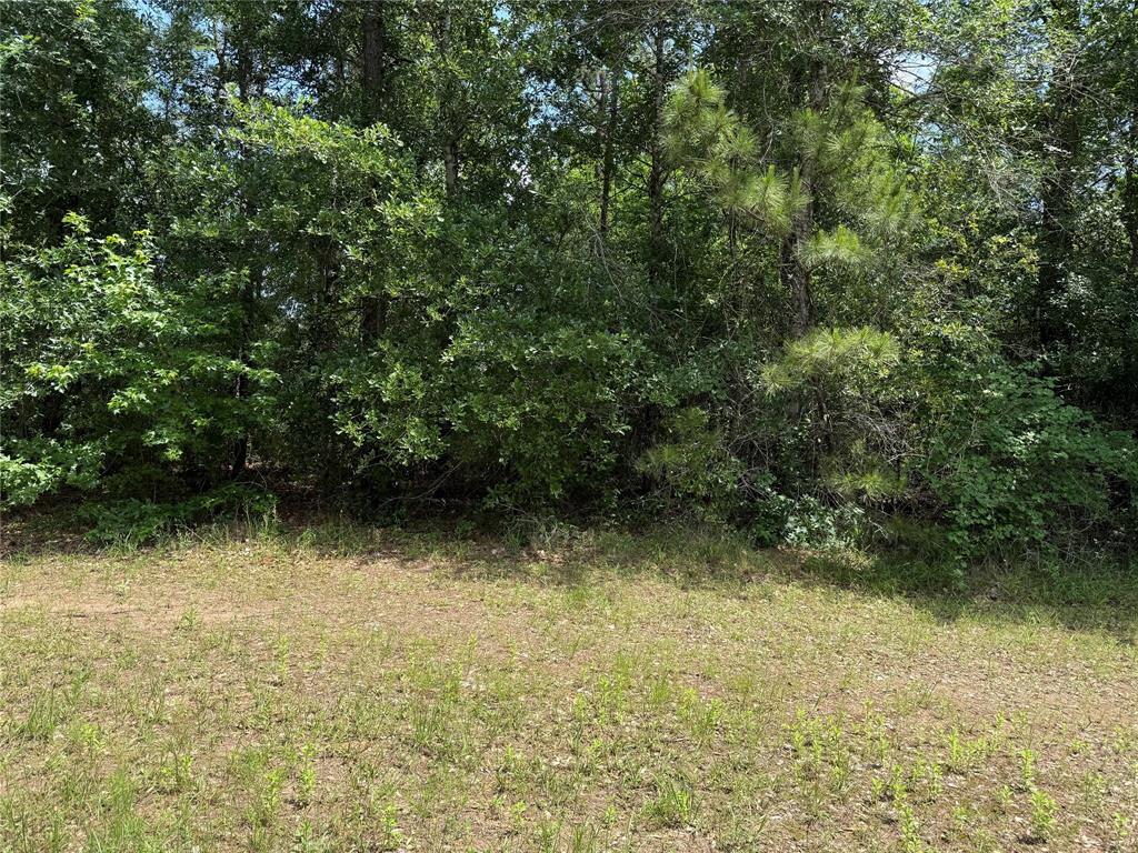 TBD Mimosa Lane, Conroe, Texas image 8