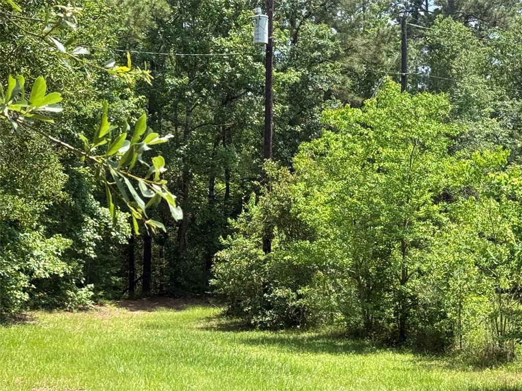 TBD Mimosa Lane, Conroe, Texas image 2