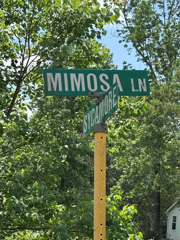 TBD Mimosa Lane, Conroe, Texas image 1