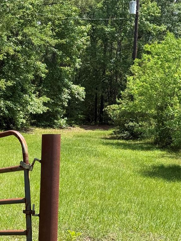 TBD Mimosa Lane, Conroe, Texas image 3