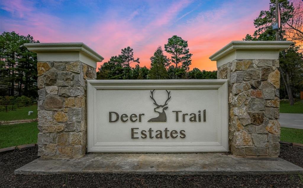 6006 Hazel Place Drive, Conroe, Texas image 24