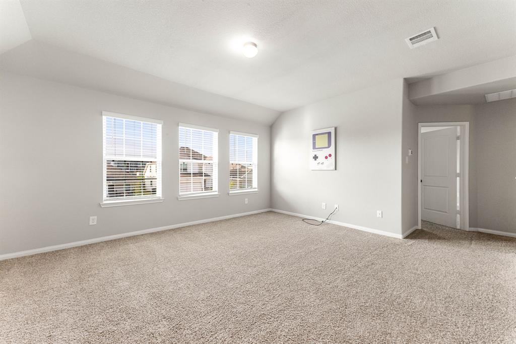 24730 Bastiani Canvas Lane, Katy, Texas image 22