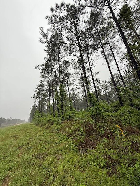 Richardson Road, Livingston, Texas image 28