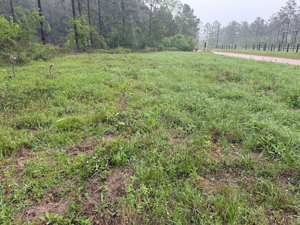Richardson Road, Livingston, Texas image 31