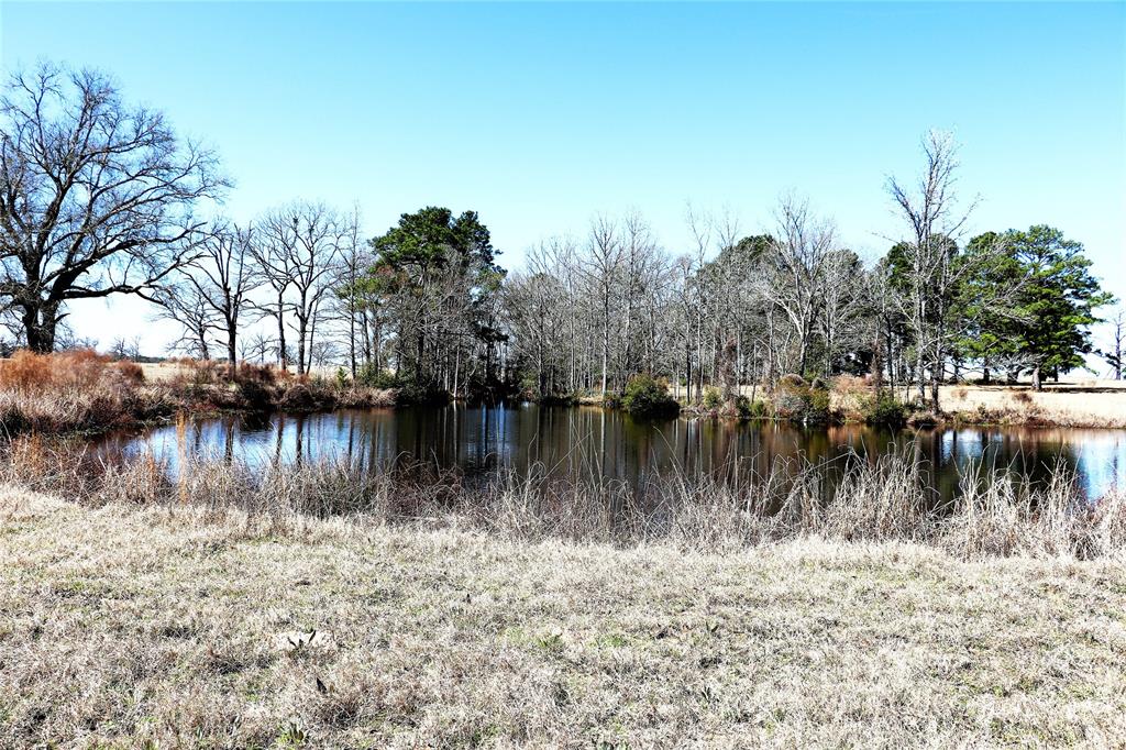 Live Oak Court, Crockett, Texas image 19