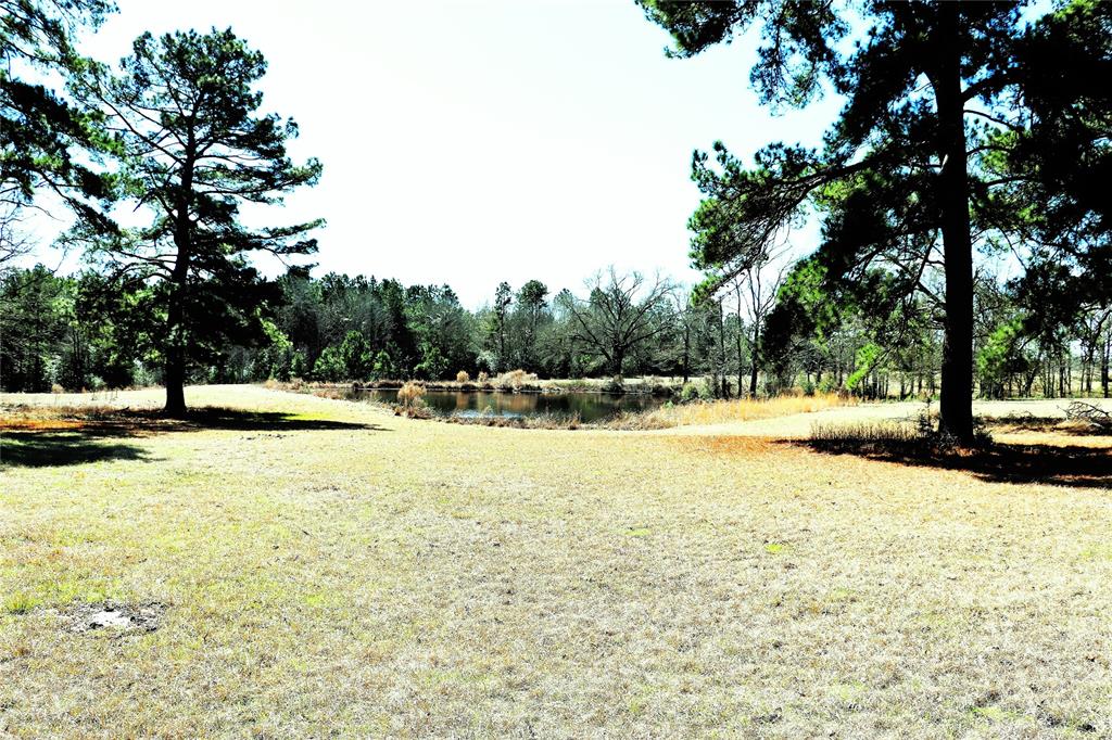 Live Oak Court, Crockett, Texas image 17