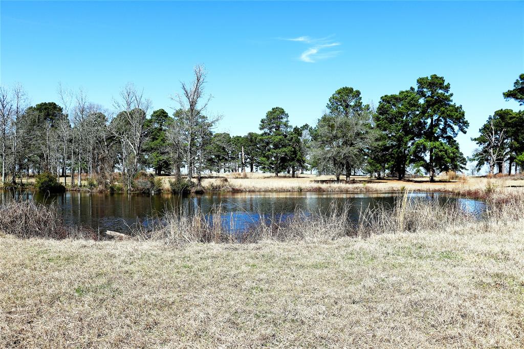 Live Oak Court, Crockett, Texas image 18
