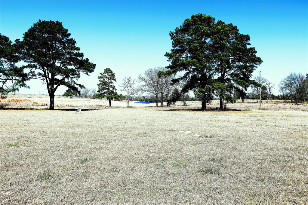 Live Oak Court, Crockett, Texas image 20