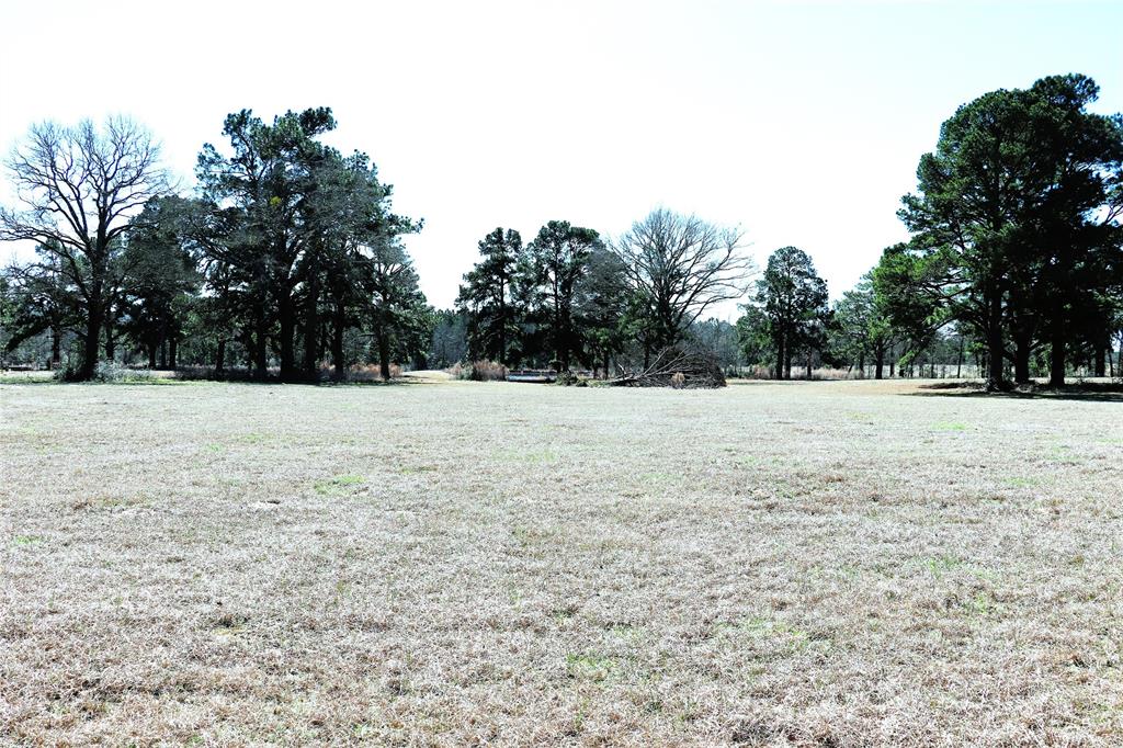 Live Oak Court, Crockett, Texas image 16