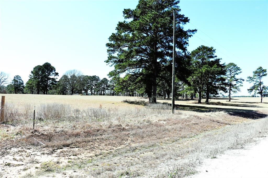 Live Oak Court, Crockett, Texas image 14