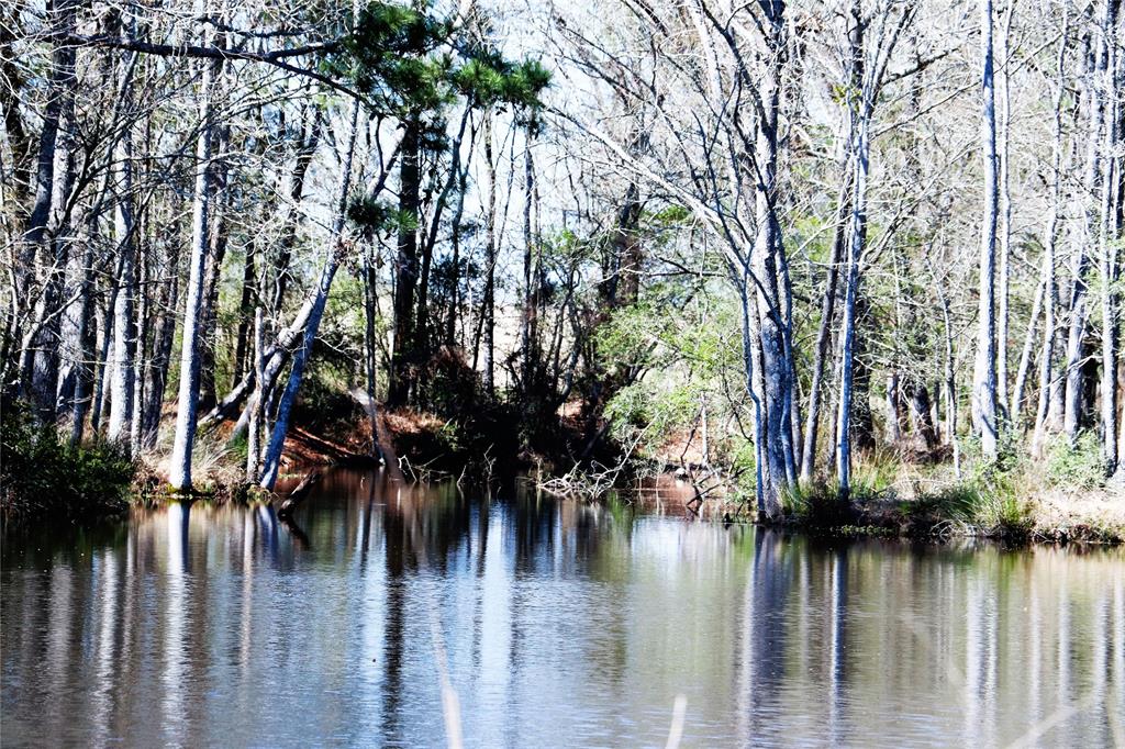 Live Oak Court, Crockett, Texas image 12