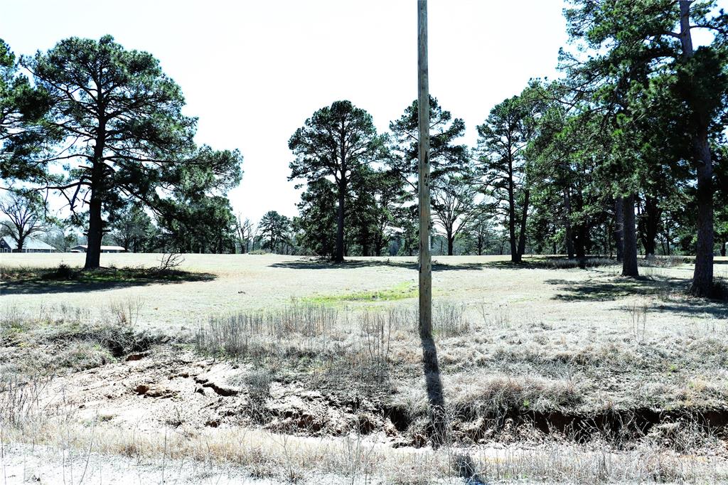 Live Oak Court, Crockett, Texas image 15