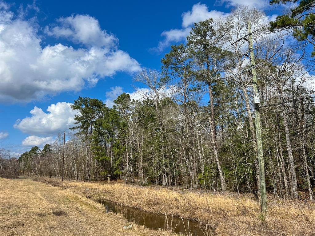 State Highway 69, Kountze, Texas image 11