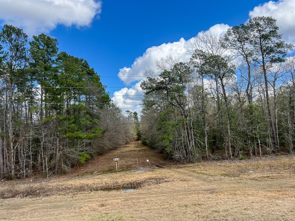 State Highway 69, Kountze, Texas image 17