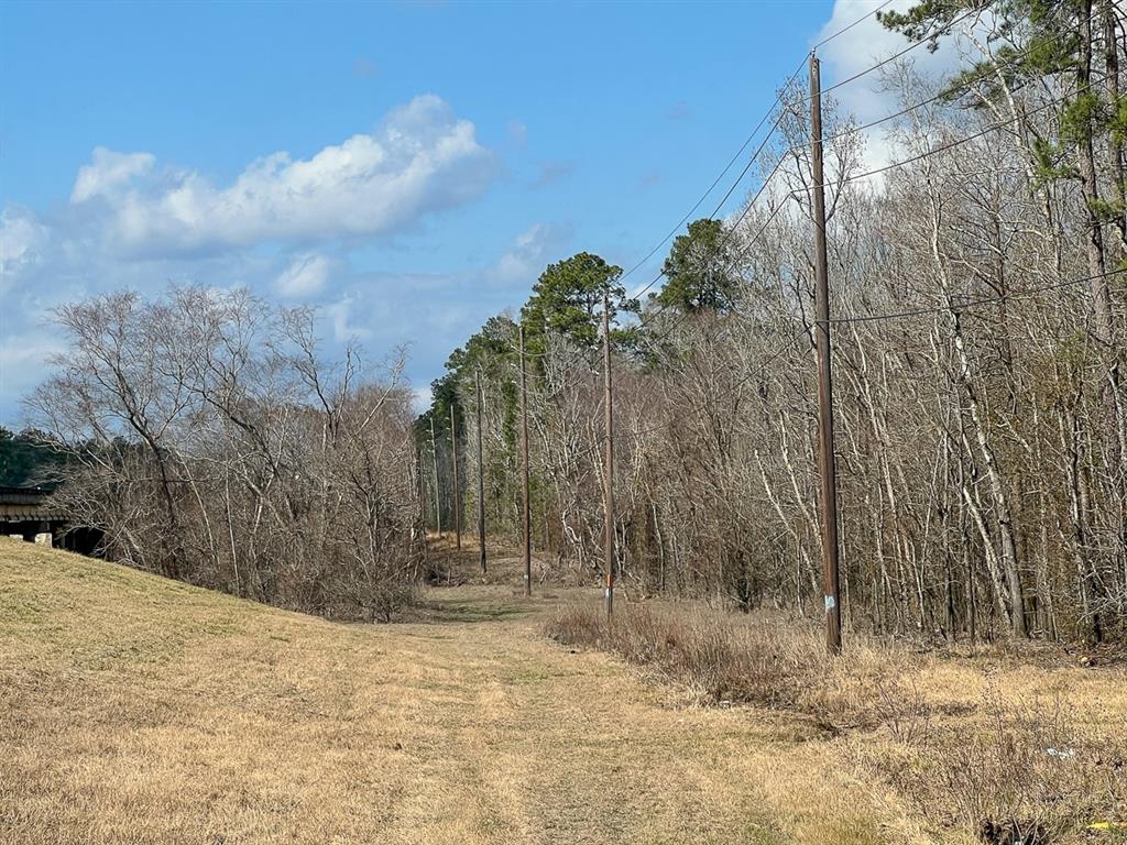 State Highway 69, Kountze, Texas image 14