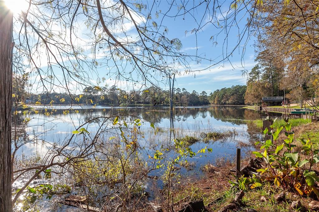 511 Cypress Bend Drive, Village Mills, Texas image 33