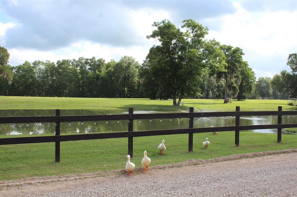 TBD Cypress Lakes Cir, Cleveland, Texas image 5