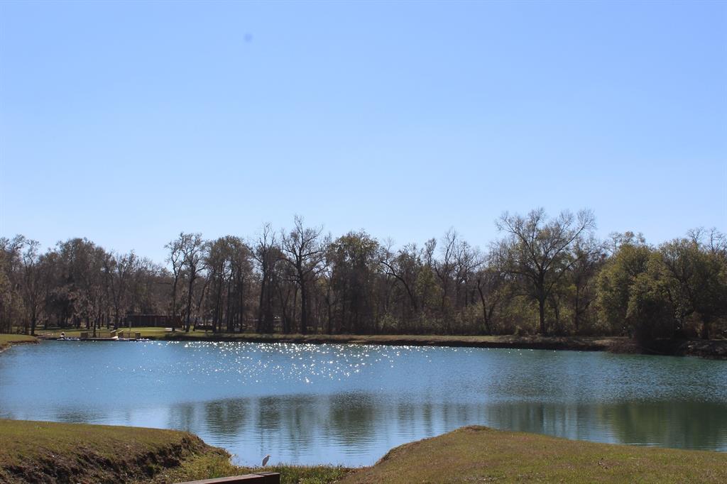 TBD Cypress Lakes Cir, Cleveland, Texas image 14