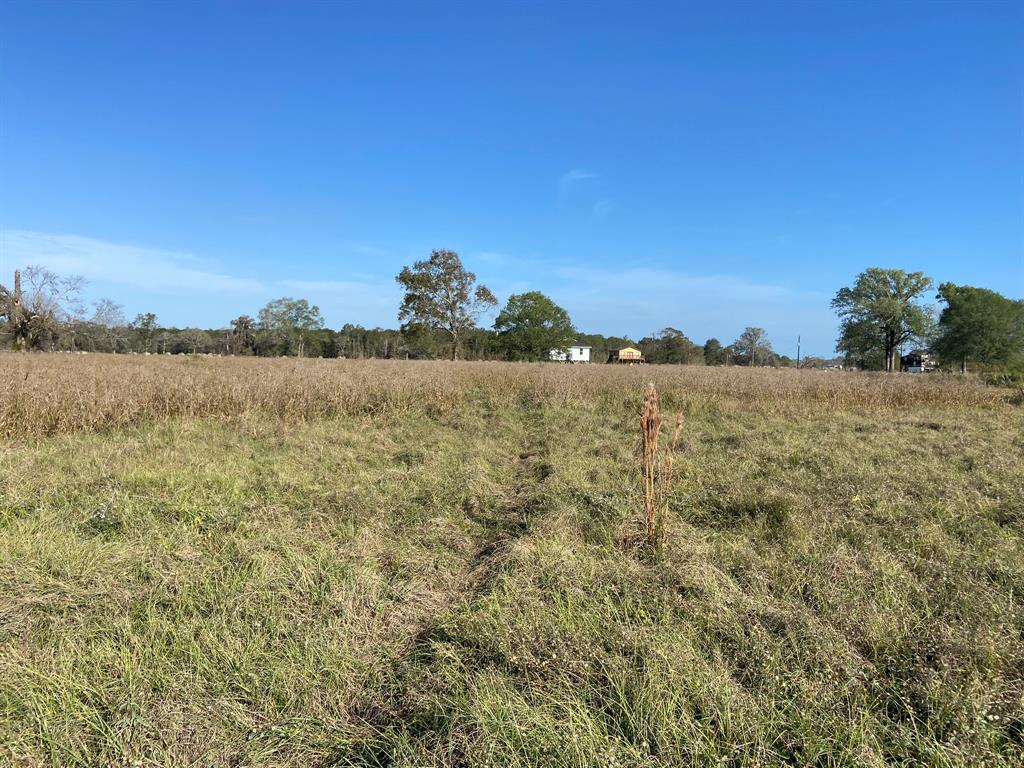 TBD Cypress Lakes Cir, Cleveland, Texas image 3