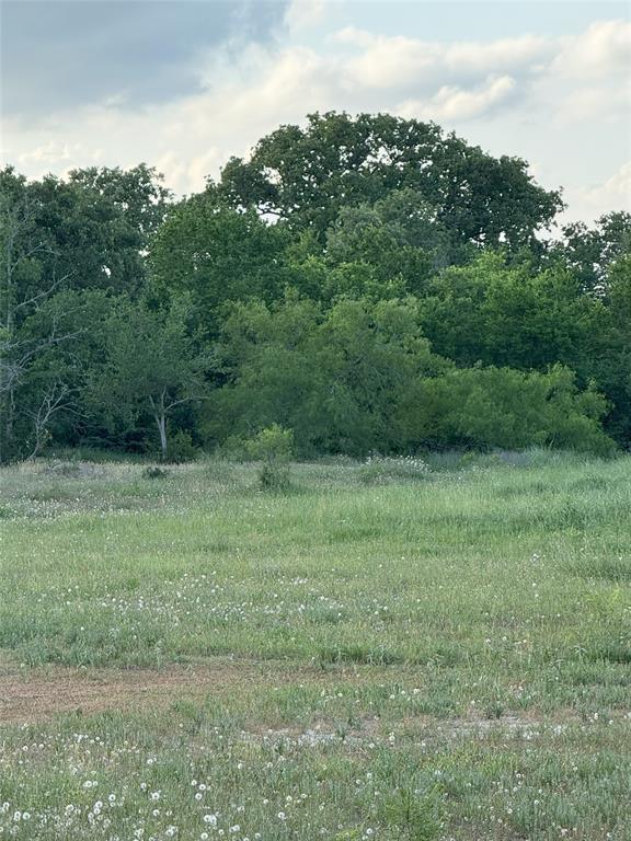 TBD Post Oak Loop Street, Midway, Texas image 2