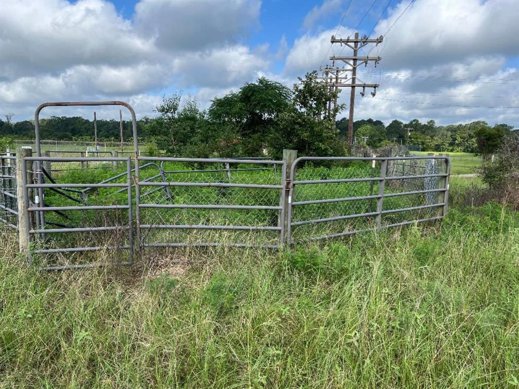 000 Fm-3317, Groveton, Texas image 8