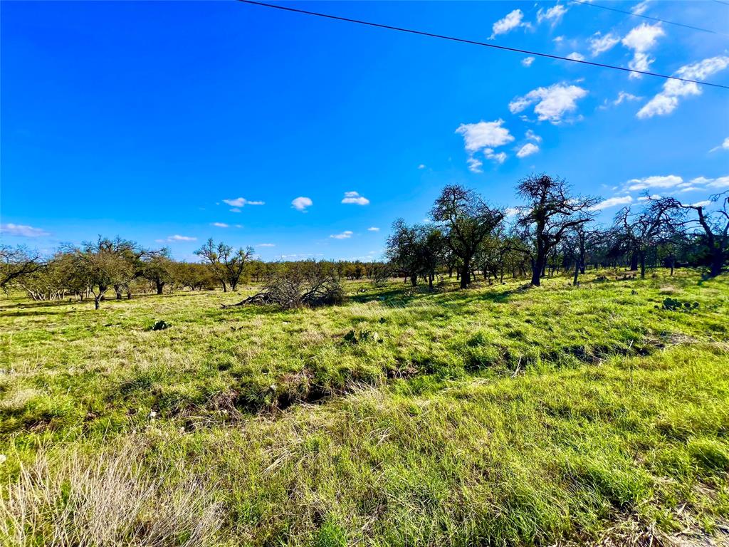 TBD Nott Branch Road, Harper, Texas image 9
