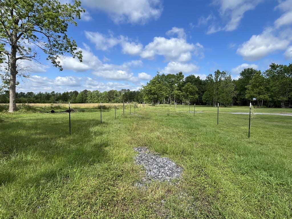 TBD S Fm 770, Batson, Texas image 2