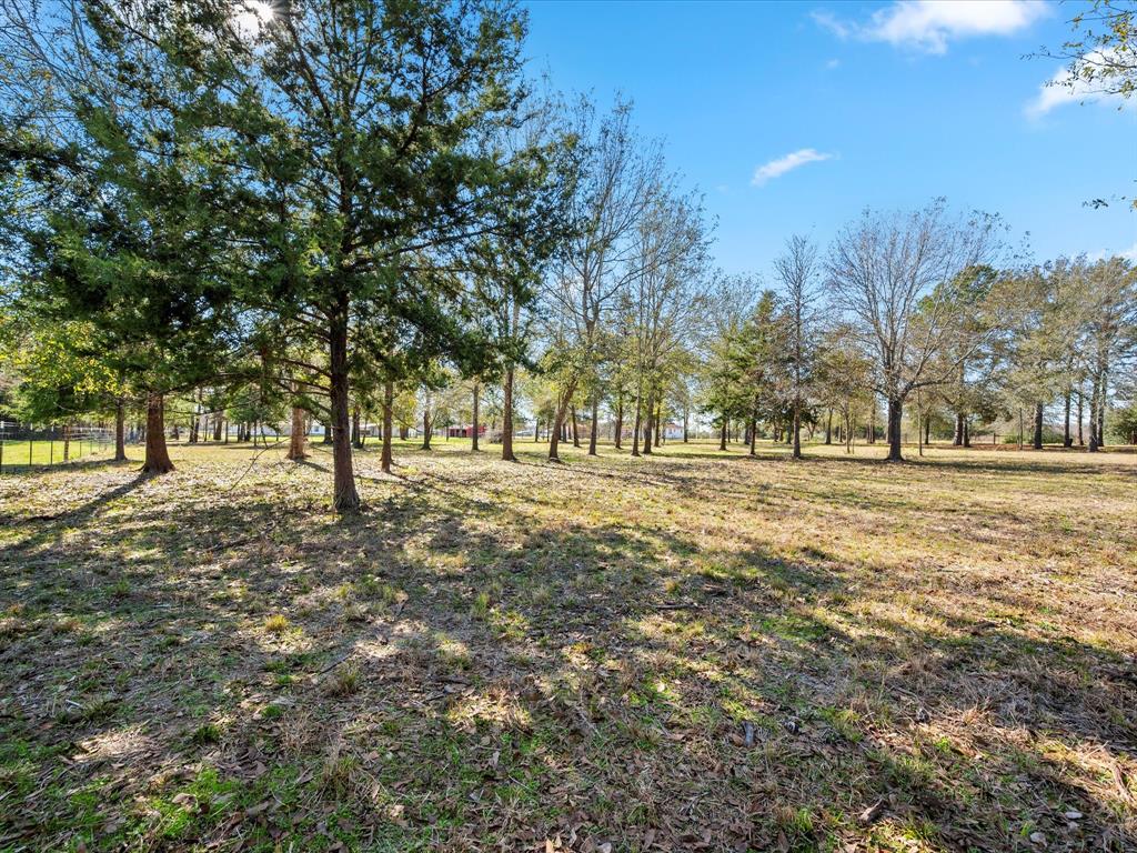 7039 Cotton Street, Bedias, Texas image 32