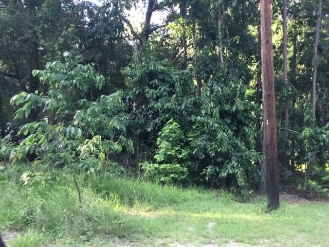 000 Water Tower Road, Onalaska, Texas image 1
