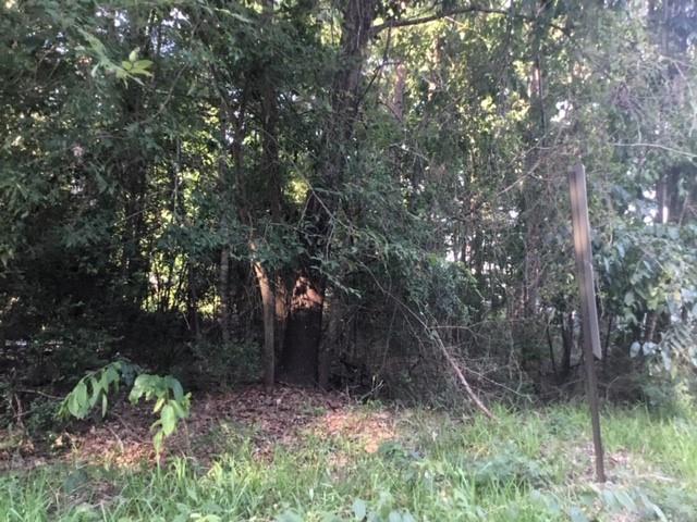000 Water Tower Road, Onalaska, Texas image 2
